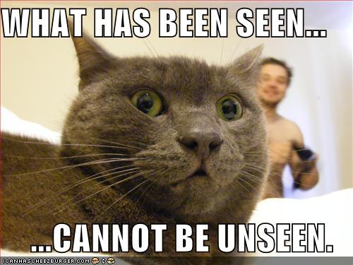 What Has Been Seen Cannot Be Unseen Funny Cat Meme