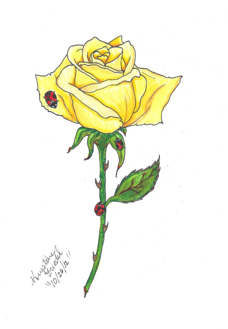 Yellow Rose With Ladybirds Tattoo Design