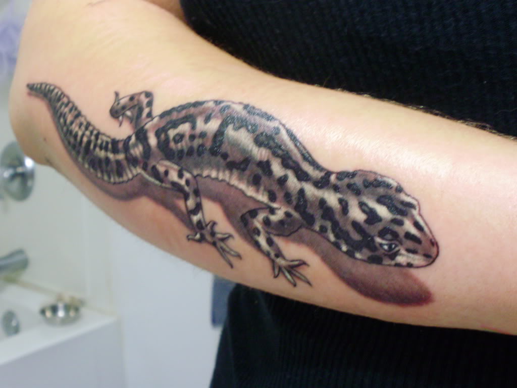 Amazing 3D Gecko Tattoo On Arm