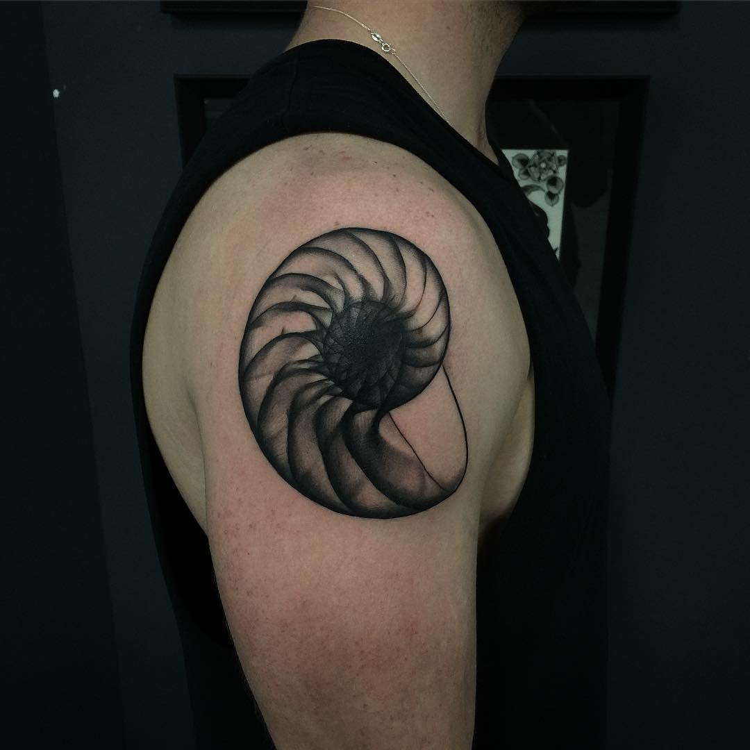 Amazing 3D Nautilus Shell Tattoo On Right Shoulder