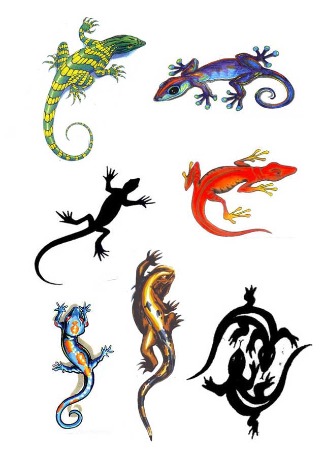 10 Latest Gecko Tattoo Designs And Ideas