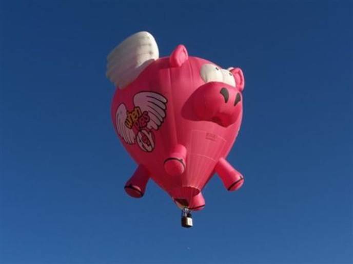 Angel Pig Funny Air Balloon Picture