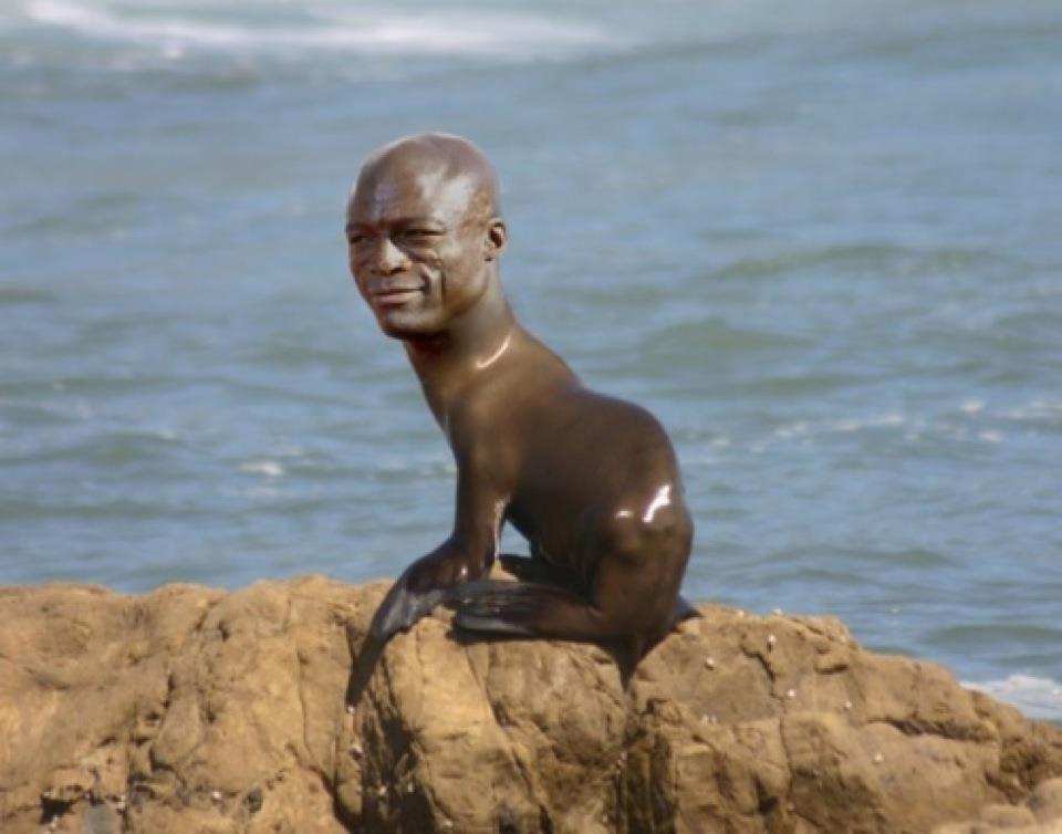 Animal With Seal Head Funny Picture