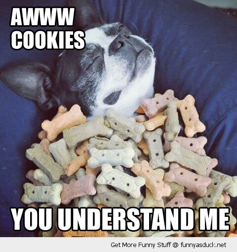 Aww Cookies You Understand Me Funny Image