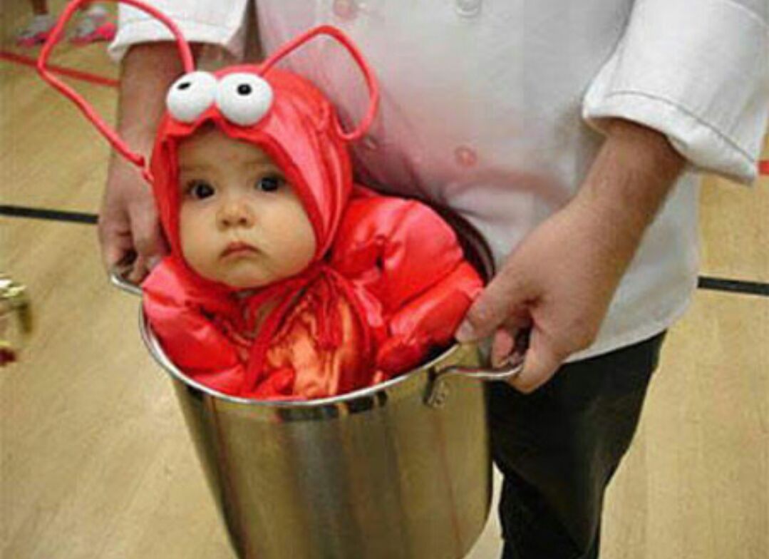 Baby With Bee Costume Funny Picture