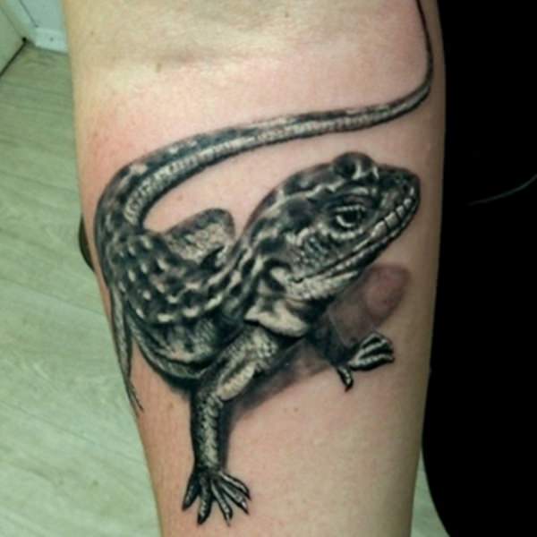 Black And Grey 3D Gecko Tattoo Design For Forearm