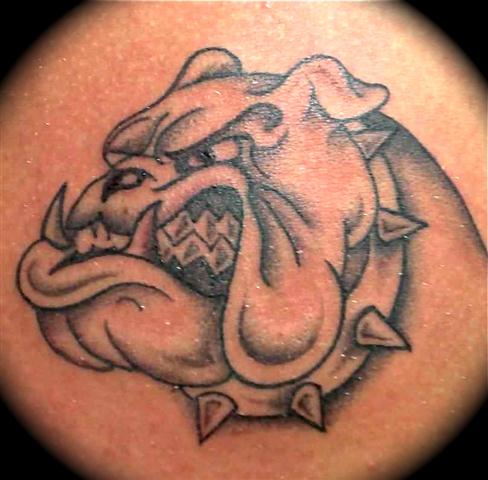24 Bulldog Tattoo Images, Pictures And Design Ideas