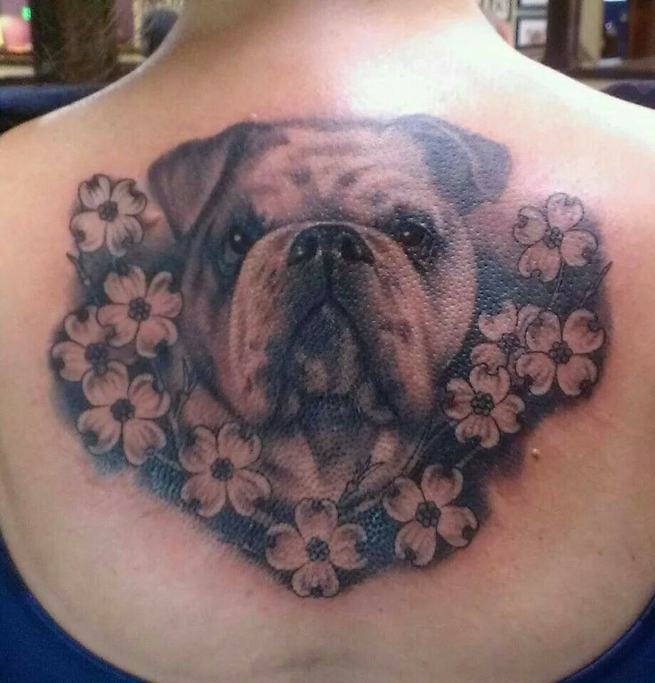 Black And Grey Bulldog Head With Flowers Tattoo On Girl upper Back