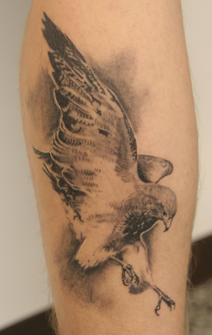 Black And Grey Flying Falcon Tattoo Design For Arm