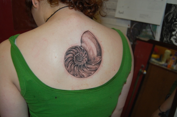 Black And Grey Nautilus Shell Tattoo On Girl Upper Back