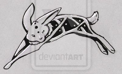 Black Celtic Rabbit Tattoo Design By Stormslegacy