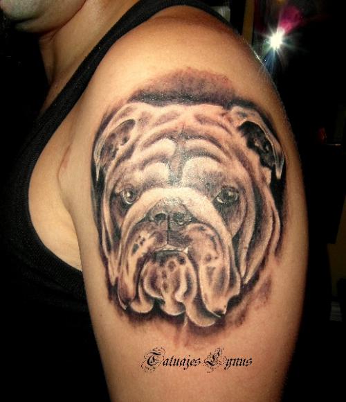 Black Ink Bulldog Tattoo On Man Left Shoulder