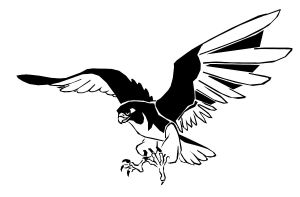 Black Ink Flying Falcon Tattoo Design By GracefullyFallen
