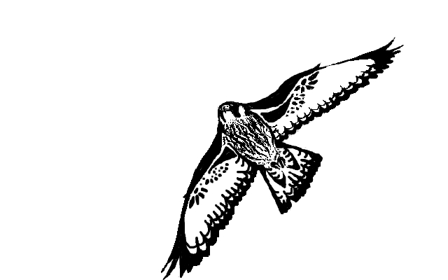 Black Ink Flying Falcon Tattoo Design By Arijka