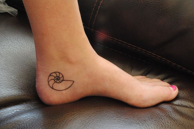 Black Outline Nautilus Shell Tattoo On Girl Heel By Savanna Baile