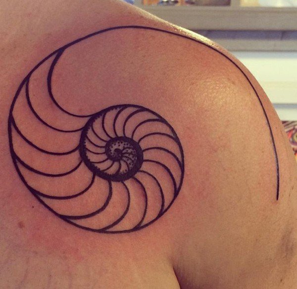 Black Outline Nautilus Shell Tattoo On Right Back Shoulder