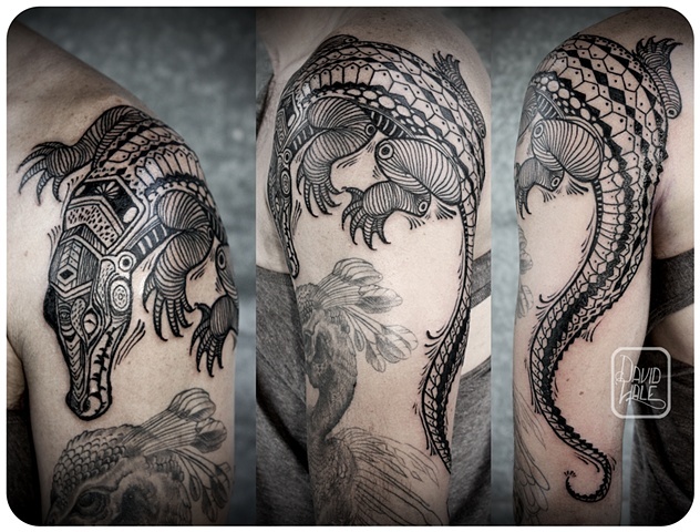 Black Polynesian Alligator Tattoo On Left Shoulder By David Hale