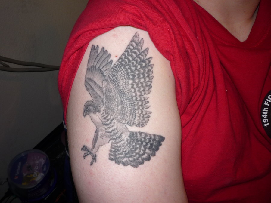 Black and Grey Flying Falcon Tattoo On Left Shoulder By Matt