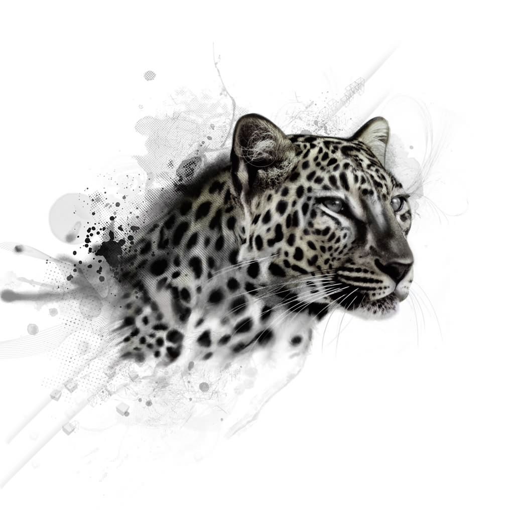 Black and grey leopard face tattoo stencil