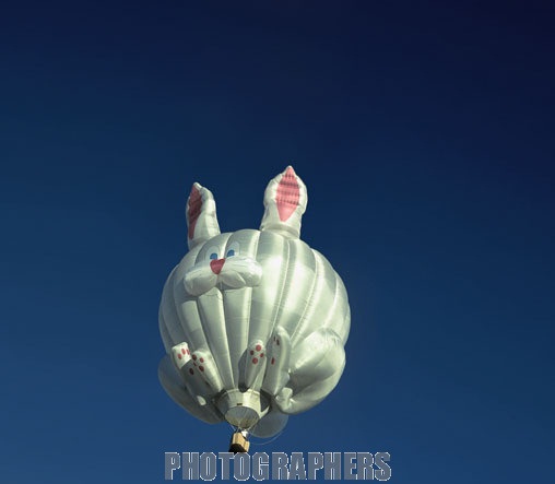 Bunny Air Balloon Funny Picture