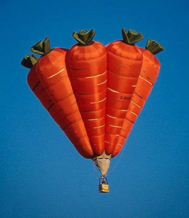 Carrots Hot Air Balloon Funny Picture
