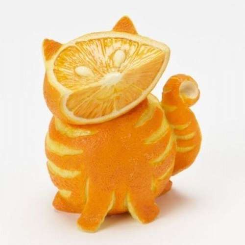 Cat Face Funny Orange Food