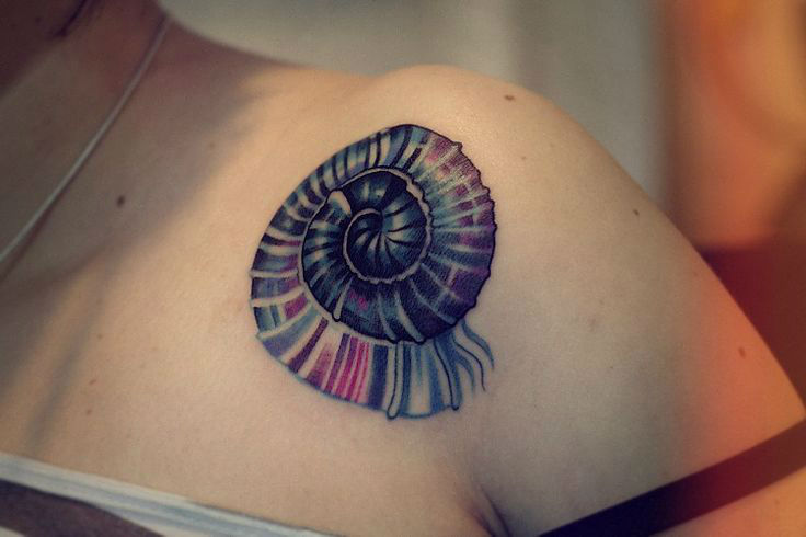 Colorful Nautilus Shell Tattoo On Left Front Shoulder