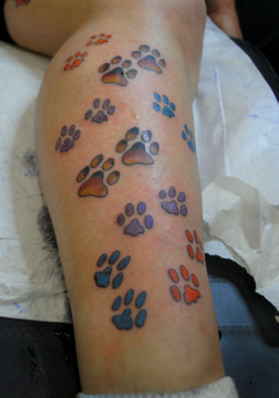 Colorful Paw Print Tattoos On Leg