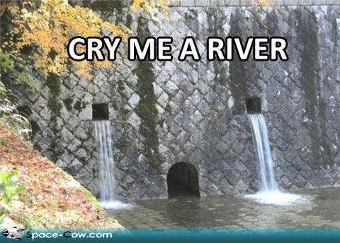 Cry Me A River Funny Picture