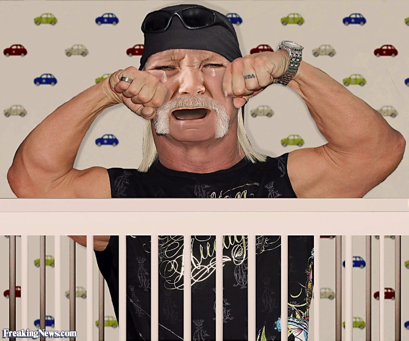 Crying Hulk Hogan Funny Picture