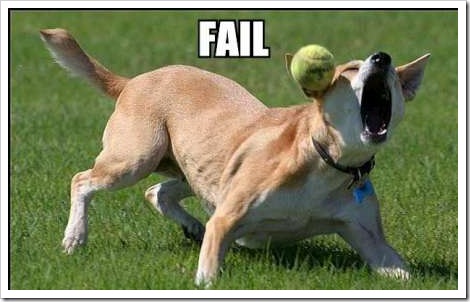Dog Fail To Catch Ball Funny Picture