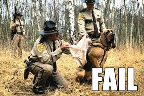Dog Fail To Detect Funny Picture