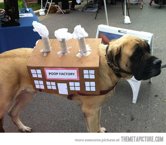 Dog With Poop Factory Costume Funny Picture