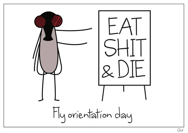 Eat Shit & Die Funny Fly Image