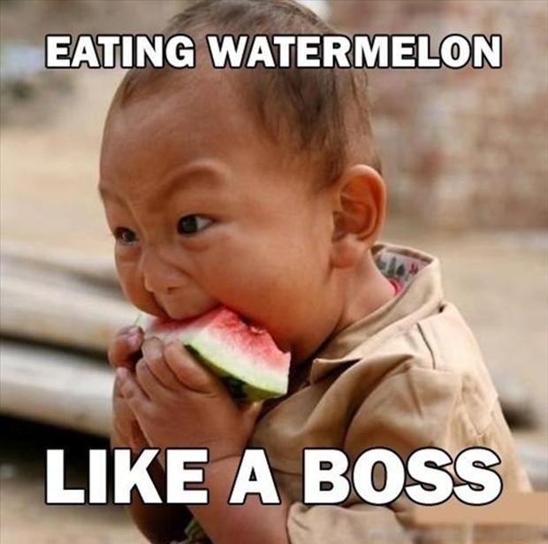 Eating Watermelon Like A Boss Funny Meme Picture
