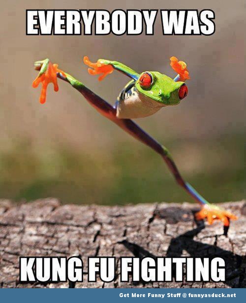 Everybody Was Kung Fu Fighting Funny Frog Meme