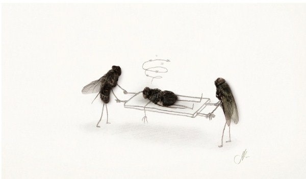 Fly On Stretcher Funny Picture