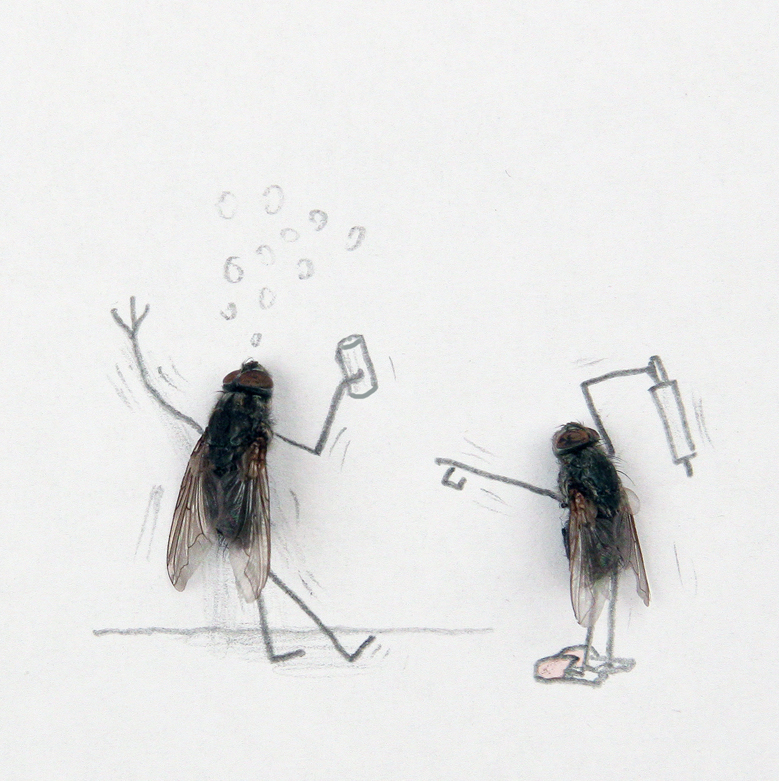 Funny Drunk Fly Image