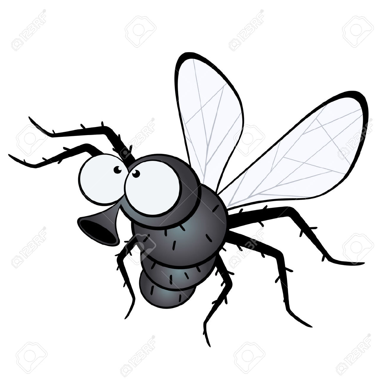 Funny Fly Clipart Image