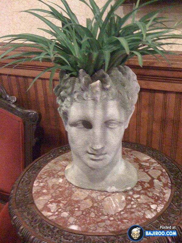 Funny Head Flower Pot Image
