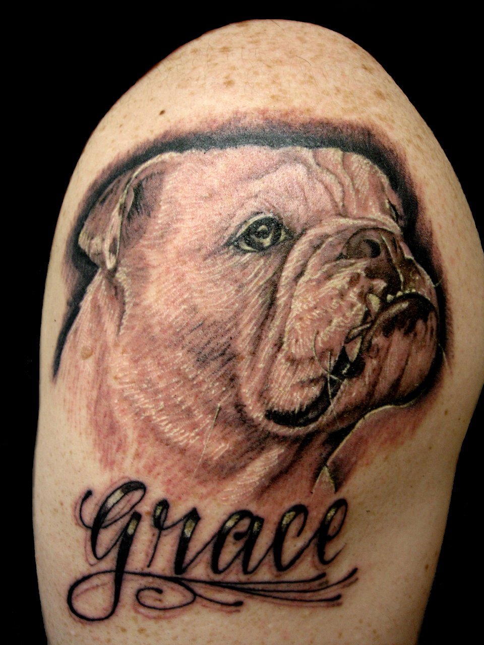 Grace - Bulldog Head Tattoo Design For Shoulder