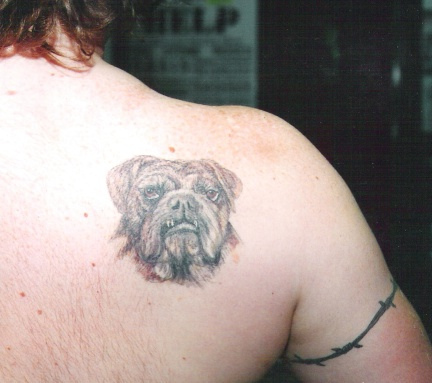 Grey Ink Bulldog Head Tattoo On Right Back Shoulder