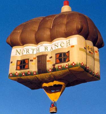 Home Shape Funny Air Balloon Picture