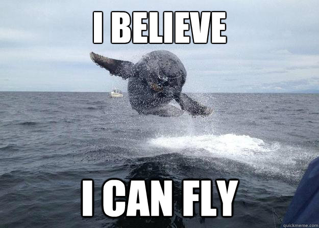 I Believe I Can Fly Funny Meme