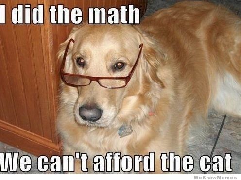 I Did The Math We Can't Afford The Cat Funny Dog Meme