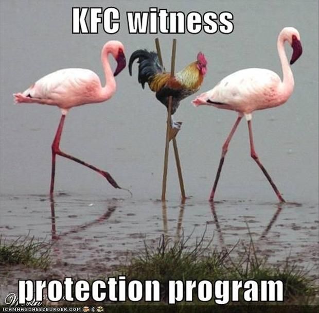 KFC Witness Protection Program Funny Meme