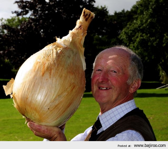 Man With Giant Garlic Funny Vegetable Picture