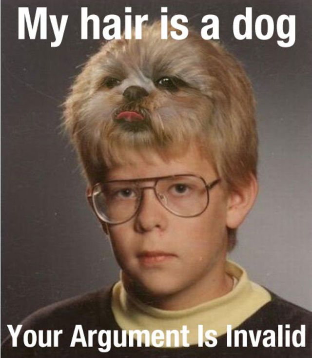 My Hair Is Dog Your Argument Is Invalid Funny Meme