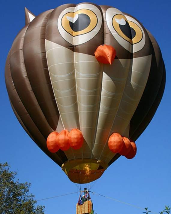 Owl Face Funny Air Balloon Image