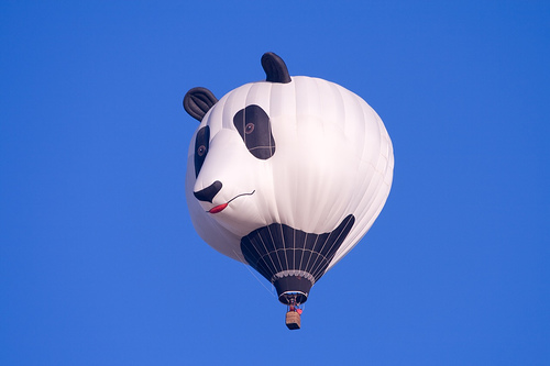 Panda Bear Face Funny Air Balloon Picture